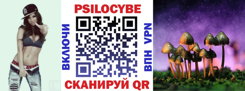 купить цена Жиздра Псилоцибиновые грибы Magic Shrooms